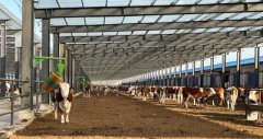 福成股份1万头肉牛繁殖场于2021年12月18日建成